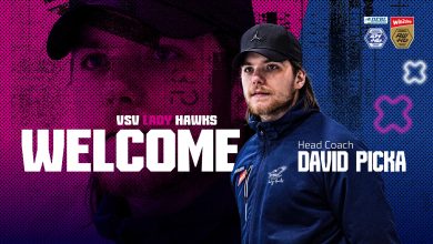 VLH welcome david picka web